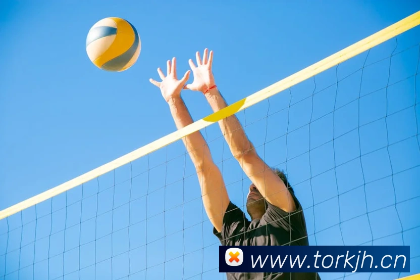 App Interface Preview