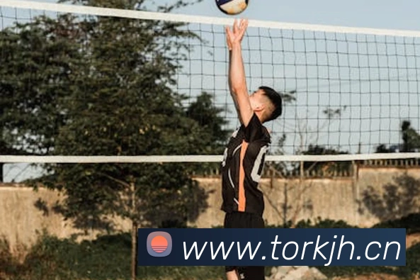 九游j9官网首页进入客服APP 封面图